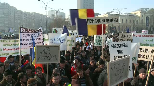 "Razboiul" pe pretul lemnului a ajuns in strada. Mii de persoane au protestat in Piata Victoriei