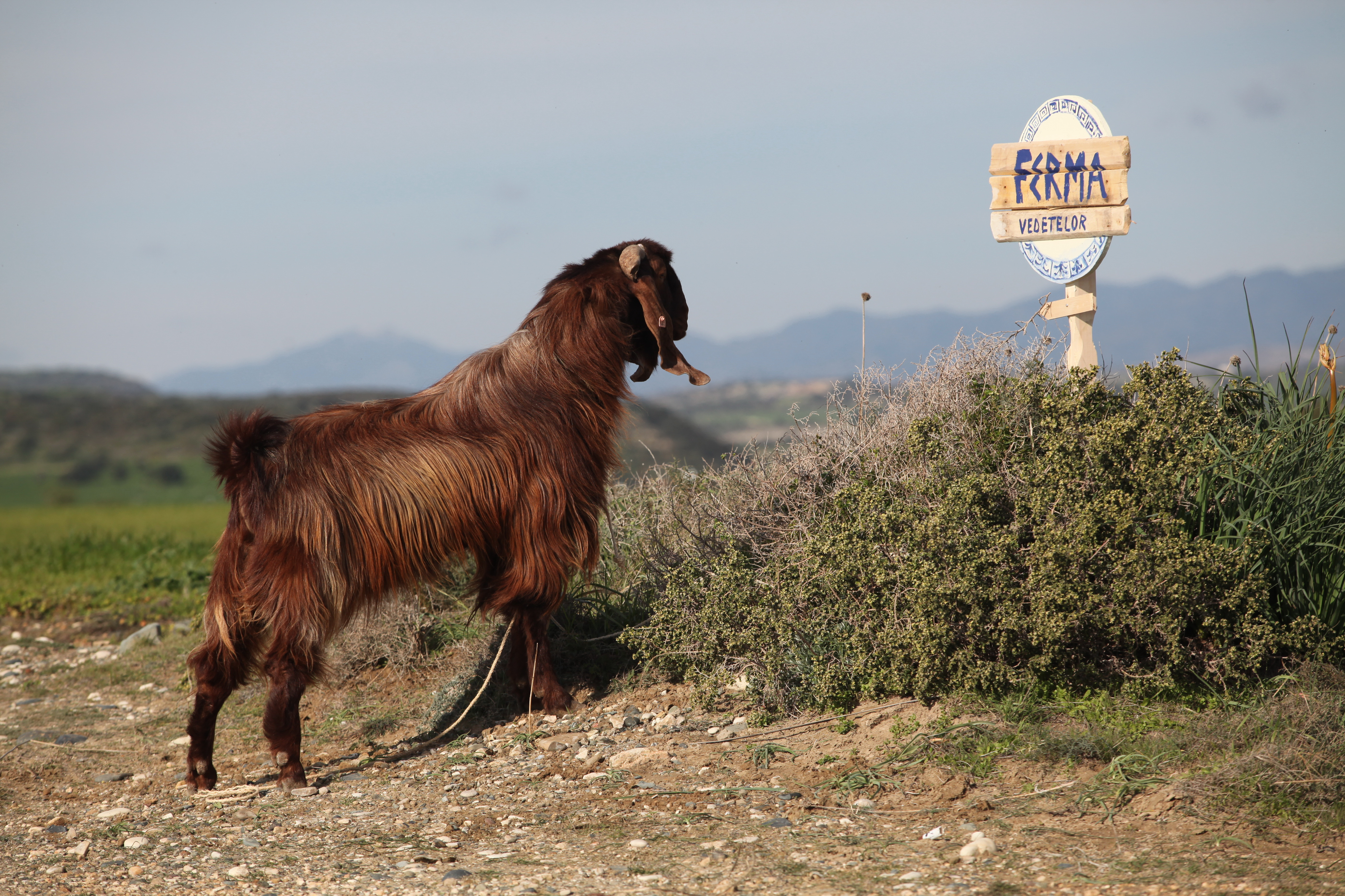 Toti concurentii care participa anul acesta la "Ferma vedetelor" au ajuns in Cipru