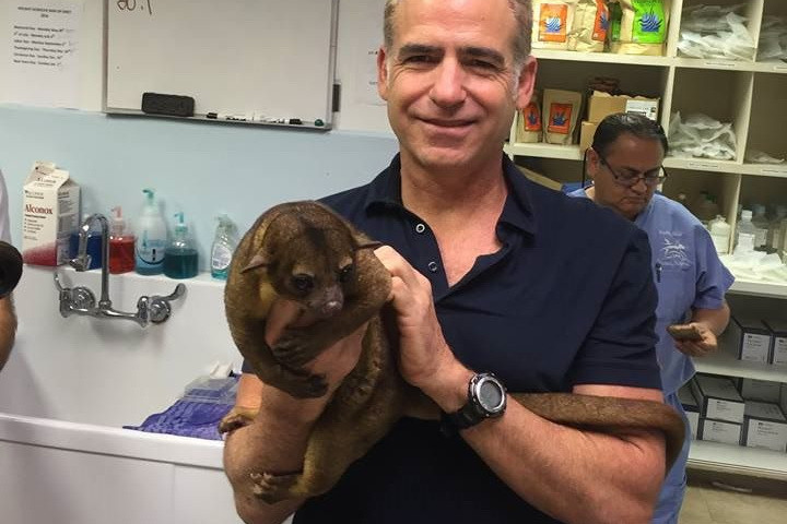 O femeie de 99 de ani s-a trezit in mijlocul noptii, cu un animal exotic, care o mangaie pe fata. Cum arata un "kinkajou"