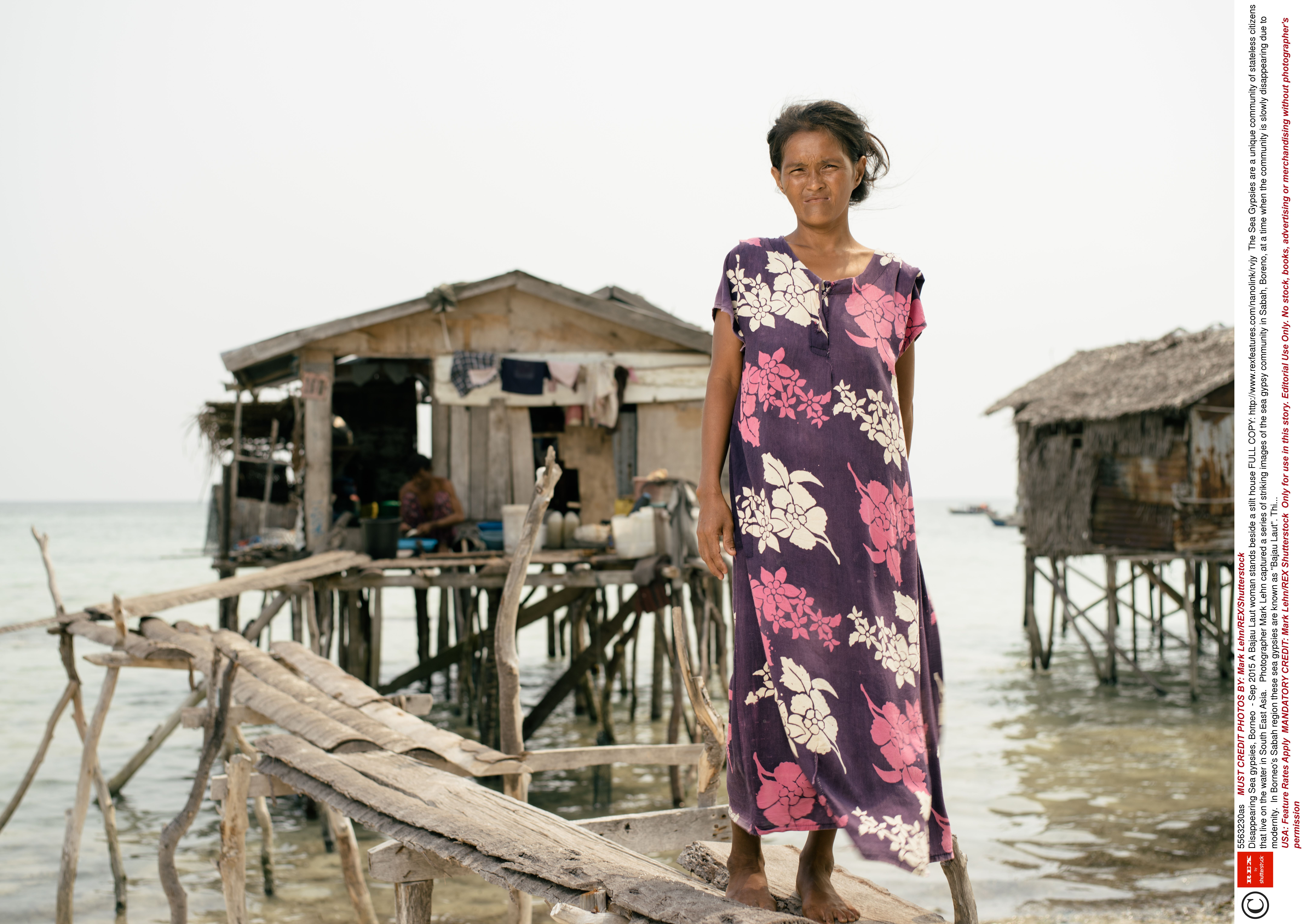 Populatia Bajau - Rex