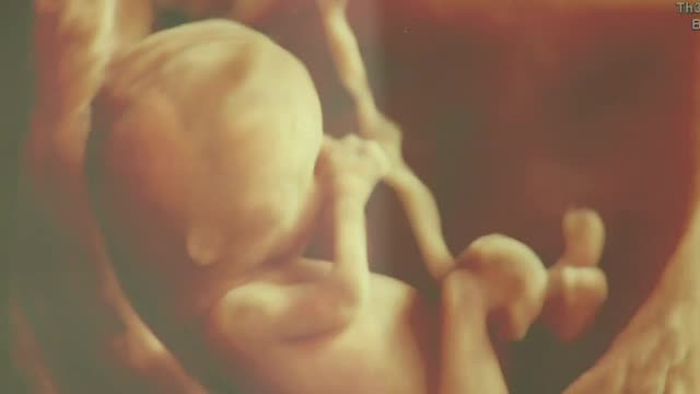 Romania - singura tara din UE fara o lege privind reproducerea umana asistata legal. Ce drame ar putea fi astfel evitate