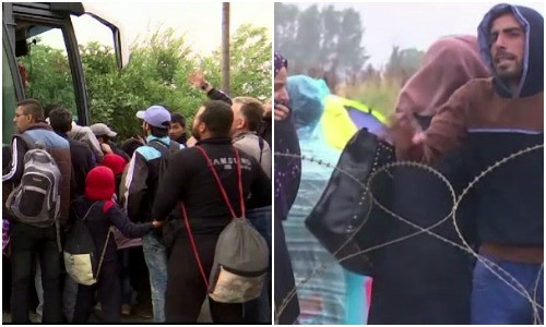 Dupa Suedia, alte doua tari au anuntat ca zeci de mii de refugiati vor fi expulzati daca cererile pentru azil vor fi respinse