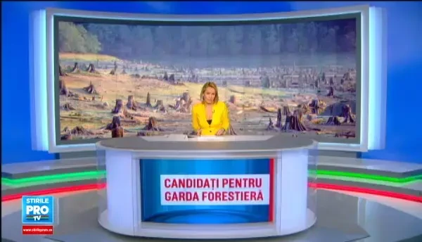 Garda Forestiera, institutia care va oferi angajatilor salarii si de 5.000 RON net. Ce test trebuie sa sustina candidatii