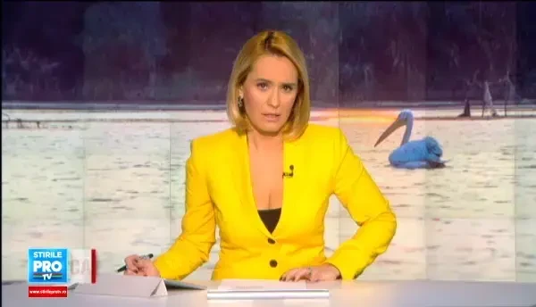 Pelicanul care s-a izolat si e trist dupa ce prietenul sau, paznicul Gheorghe, a murit. Considera omul unul dintre ai lui