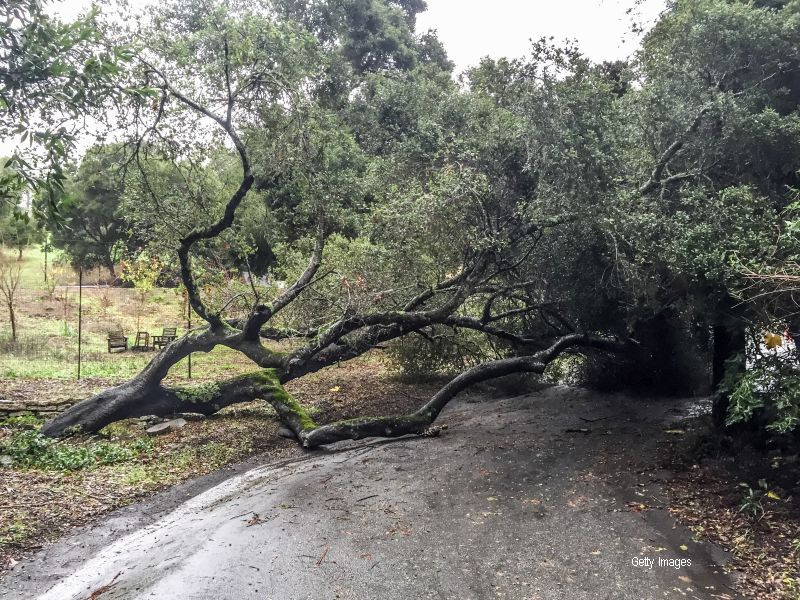 Au vazut cum doua femei sunt prinse intr-o masina avariata de un copac. Reactia inexplicabila a trecatorilor