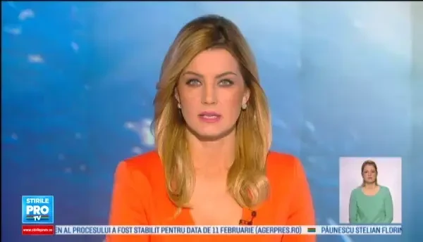 Camion cu porci, rasturnat pe un camp din Timis. Ce au facut animalele imediat dupa accident