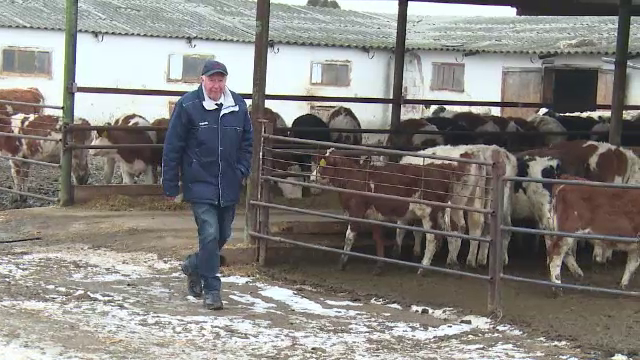 Metoda prin care un fermier din Alba a reusit sa-si faca afacerea de 5 ori mai profitabila: "Numai asa ne-am putut dezvolta"