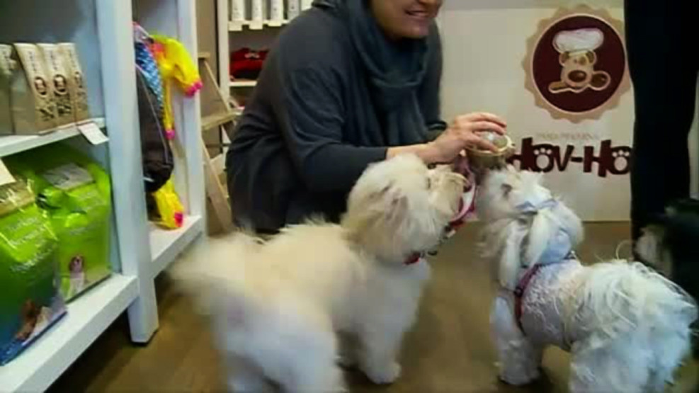 In Croatia a aparut prima cofetarie pentru caini. "Cand am deschis, un barbat a luat o inima de ciocolata pentru sotia sa"