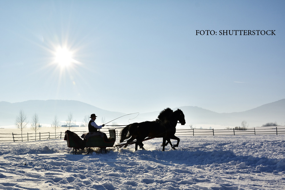 Frigul se muta in nordul si centrul tarii, in sud vine primavara. La munte ninge viscolit si este ger