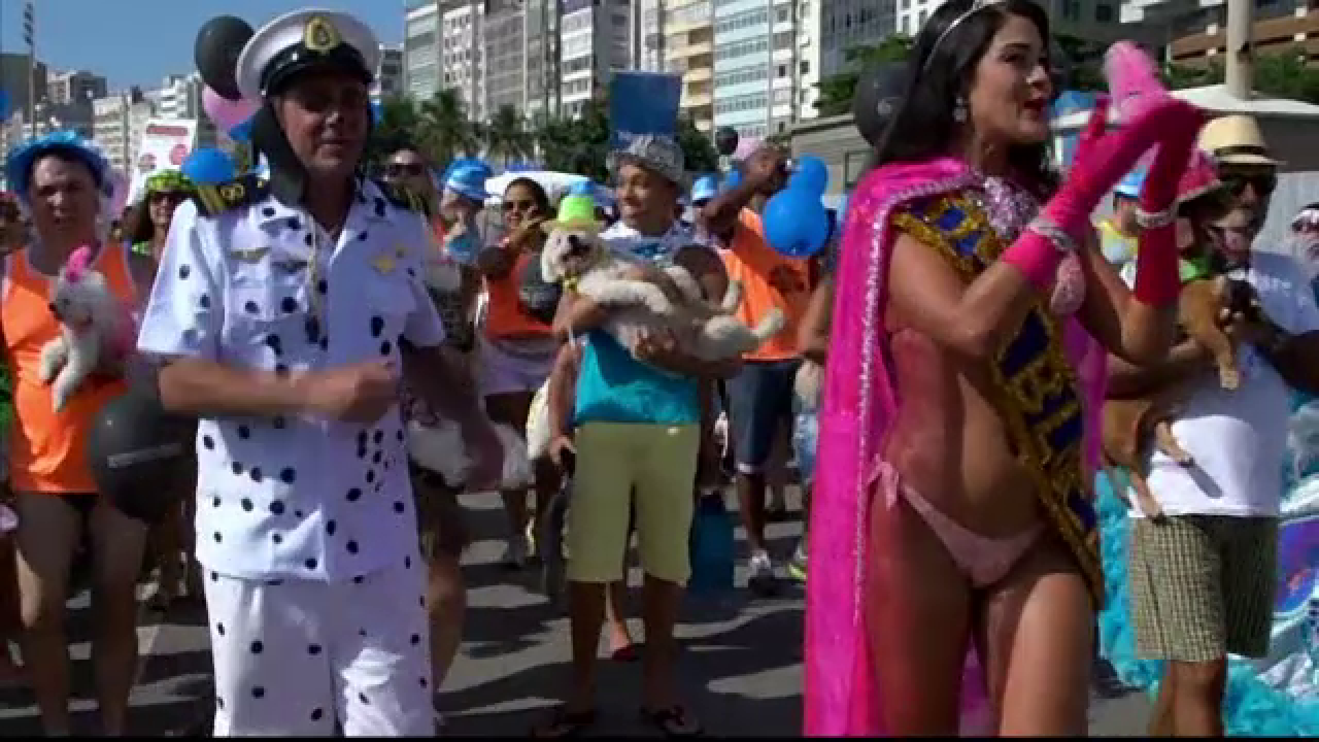 "Zika nu, carnaval da!", lozinca momentului la Rio de Janeiro. Petrecere in strada cu animale inainte de Carnavalul de la Rio