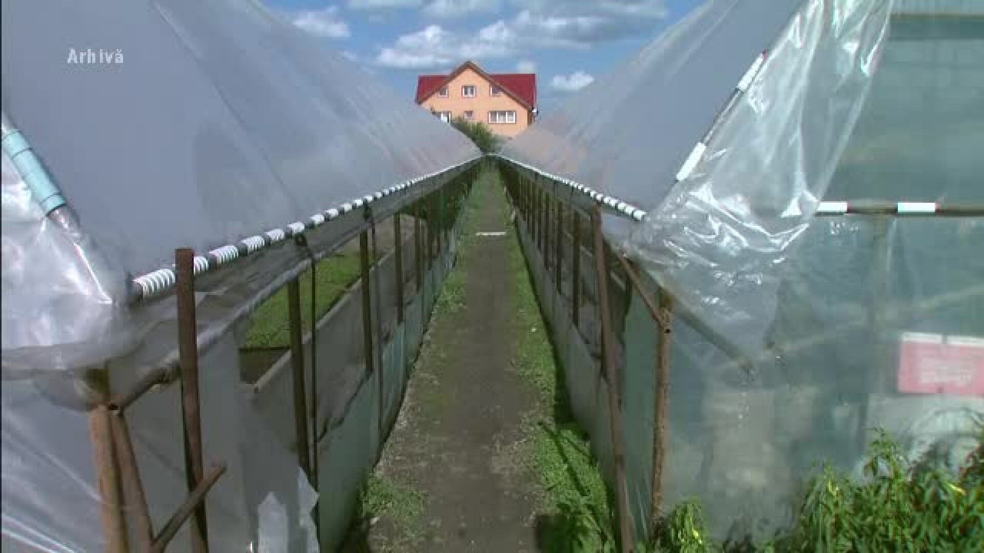 Olandezii ne arata ce poate schimba o asociatie in agricultura. Secretul succesului in tara cu doar 2 mil. ha teren agricol