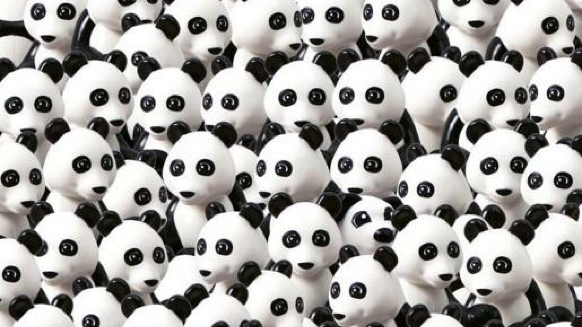 Puzzle: Cat timp iti ia sa gasesti cainele ascuns printre ursii panda din imaginea alaturata?