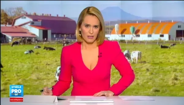 Olandezii ne arata ce poate schimba o asociatie in agricultura. Secretul succesului in tara cu doar 2 mil. ha teren agricol