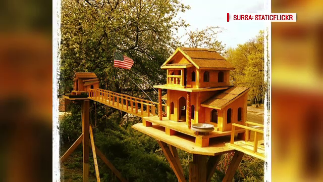 Lux pentru veverite, gropi pentru localnici. Primaria Bistrita cheltuie pe o casuta de lemn cat pentru o masina second-hand