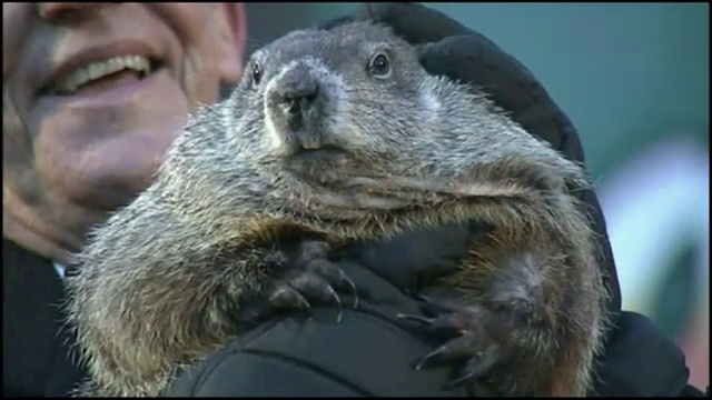 Marmota Phil a prezis o iarna scurta. Ultima data cand s-a intamplat asta, a fost ger si viscol pana in martie