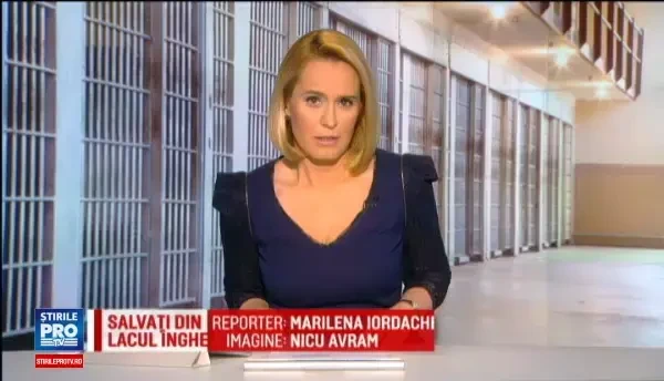 Guvernul suspenda pedepsele reduse pentru scriitorii din inchisori. Cine a cerut ca prevederea sa nu fie abrogata