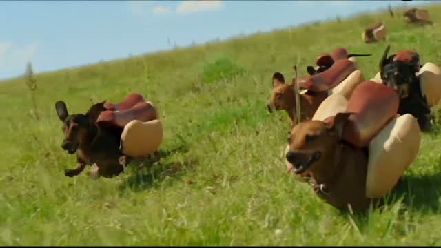 Reclamele de la SuperBowl 2016. Fetele imbracate sumar, inlocuite de animale simpatice. Cat costa 30 de sec. de publicitate