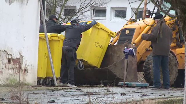 Cei 35.000 de pui care au murit de foame intr-o ferma din Targu Jiu vor fi incinerati. Cine este proprietarul afacerii