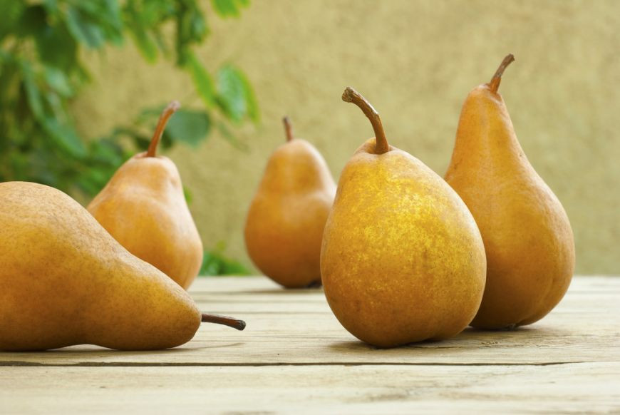 Dulceață de pere - cea mai rapidă și gustoasă rețetă. Ce soiuri de pere sunt cele mai bune pentru gem