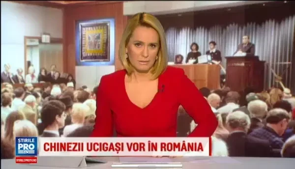 Familia lui Vadim a vandut drapelul lui Avram Iancu cu 105.000 de euro. Cine l-a cumparat si unde va ajunge obiectul