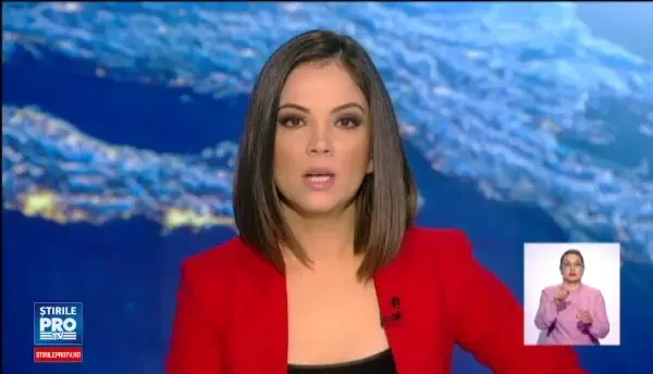 Ce poti face daca vezi un animal ranit pe marginea drumului. Veterinarii voluntari au lansat numarul SOS Animale Salbatice