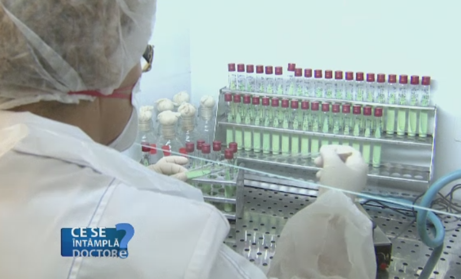 Cea mai frecventa boala cu transmitere intima, de la 15 la 24 de ani, este gonoreea. Masurile pe care medicii le impun