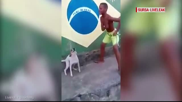 Carnavalul de la Rio, o bucurie chiar si pentru catei. Momentul dintre un patruped si un pusti face senzatie pe internet