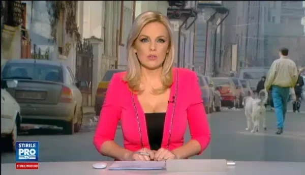 O imensa lada de gunoi! Topirea zapezii scoate la lumina un Bucuresti plin de resturi alimentare si dejectii de animale