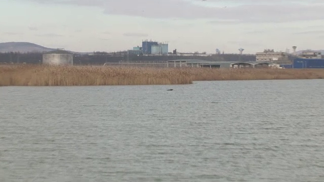 Ancheta in Bacau dupa ce doua cadavre au fost gasite in apele raului Bistrita