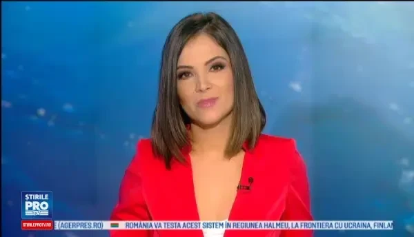 Un leu de mare a facut senzatie intr-un restaurant dupa ce s-a asezat pe o canapea si s-a culcat. Ce au facut angajatii