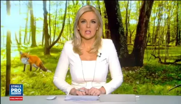 Vanatoarea, hobby pentru romanii, dar si strainii cu bani. Sumele imense platite pentru vanatul de mistret sau vulpe