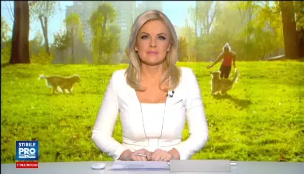 Cainii sunt mai iubitori decat pisicile, arata un studiu. Metoda prin care oamenii de stiinta au ajuns la aceasta concluzie