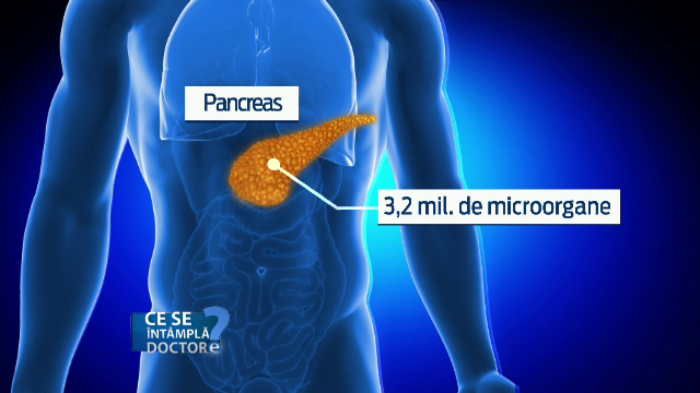 Bolile cardiace si diabetul, asociate cu grasimea corporala. Ce se intampla in corpul nostru cand crestem lent in greutate