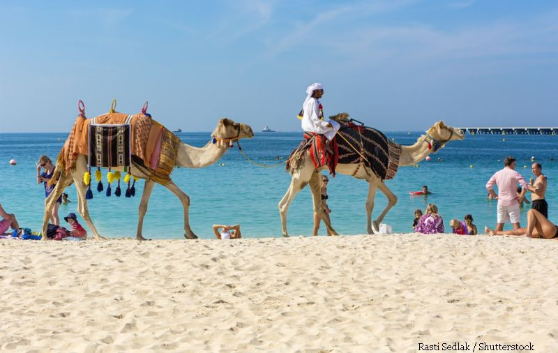 Emiratele Arabe Unite vor avea un Minister al Fericirii. Principalul obiectiv, "crearea de bine social si de satisfactie"