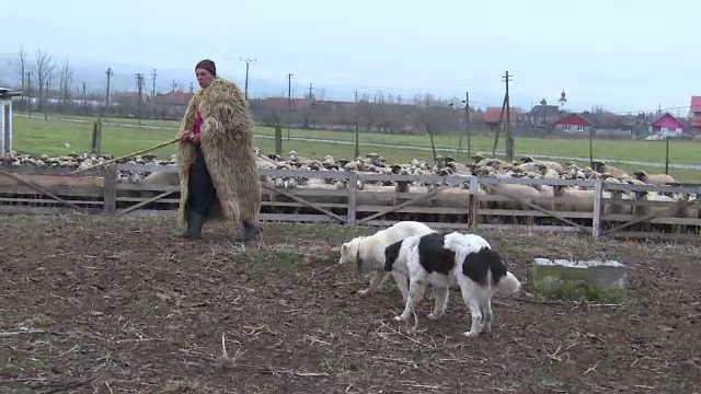 Legea vanatorii va fi modificata. Subiectul pe care s-au contrazis cel mai mult cele doua tabere, chemate la negocieri