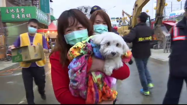 Caine salvat dintre daramaturi, la cinci zile dupa cutremurul din Taiwan. Stapanii l-au recuperat dupa ce l-au vazut la TV