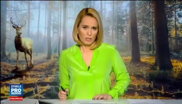 Cerbi si mistreti vanati fara autorizatie, in farfuria clientilor unor restaurante. Functionari publici, implicati in dosar