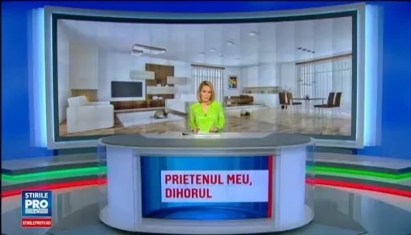 La tara sunt alungati de stapani, la oras sunt rasfatati. Dihorii au ajuns printre cele mai cautate animale de companie