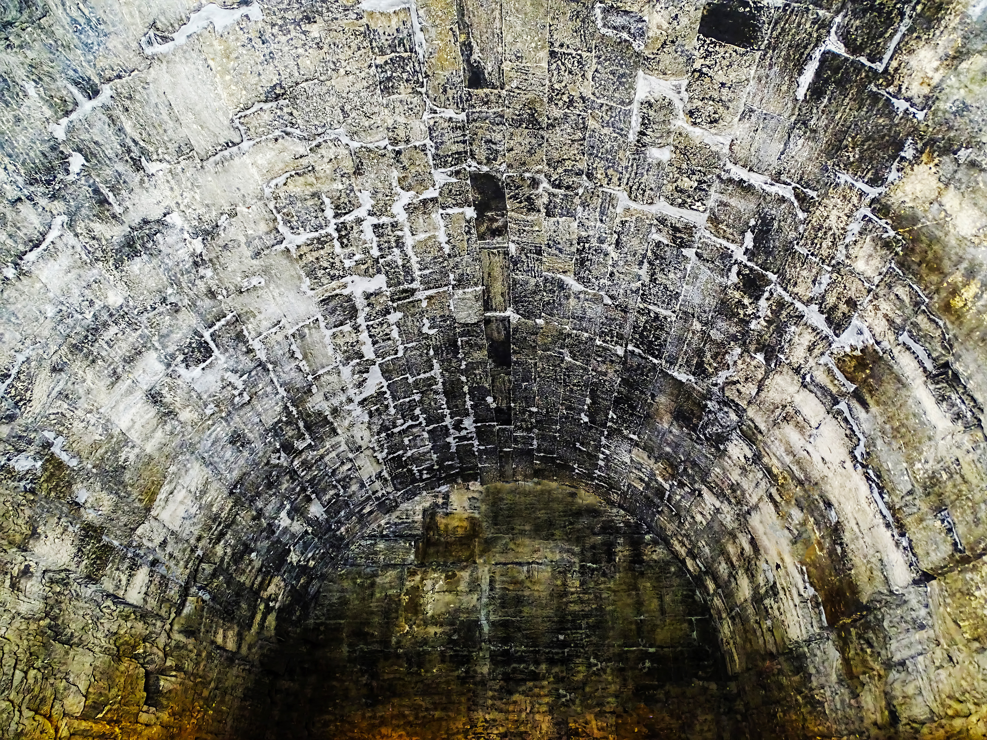 Descoperire bizara, in Turcia. Un animal mumificat a fost ascuns timp de secole intr-un beci, iar arheologii nu stiu ce este