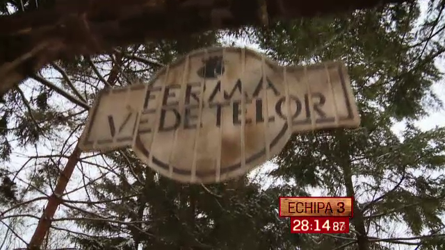 Ferma Vedetelor: alta tara, alta distractie. Provocarile prin care vor trece 12 vedete in Cipru