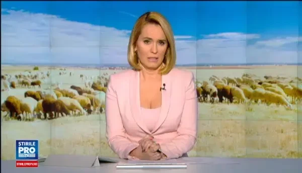 Solutia gasita de ciobani pentru a controla natalitatea oilor. Cum vor sa ii impace pe ortodocsi si catolici, de Paste