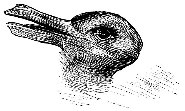 Iluzia optica, veche de 100 de ani, care le da batai de cap internautilor. Ce reprezinta de fapt, aceasta imagine