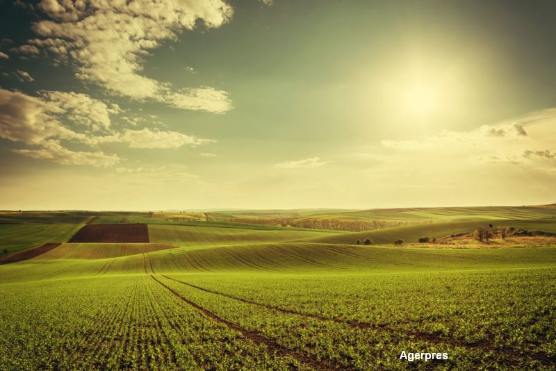 Legume si fructe rezistente la frig si seceta. Cercetatorii romani pregatesc agricultura viitorului, insa au o mare problema