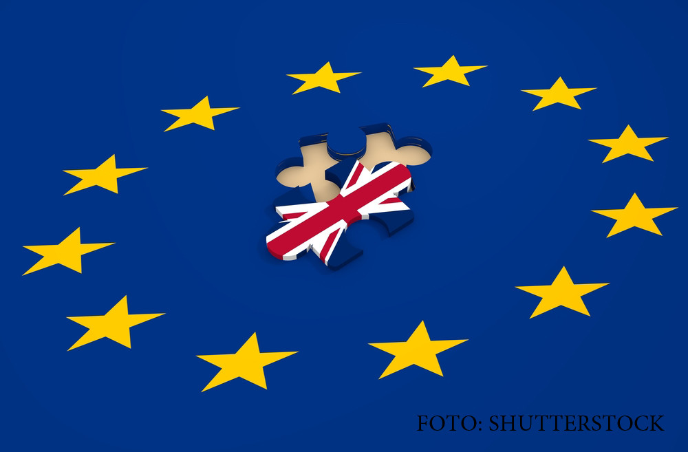 BREXIT. Ce ar putea castiga si pierde romanii din acordul UE - Marea Britanie. Polonia a primit 1.000 de soldati