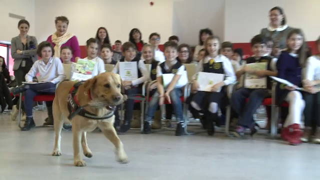 Elevii invata cum sa reactioneze in preajma maidanezilor. Proiectul se desfasoara in 25 de scoli din Bucuresti si 6 judete