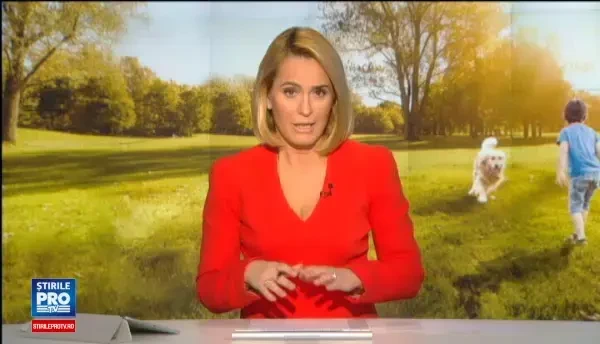 Elevii invata cum sa reactioneze in preajma maidanezilor. Proiectul se desfasoara in 25 de scoli din Bucuresti si 6 judete