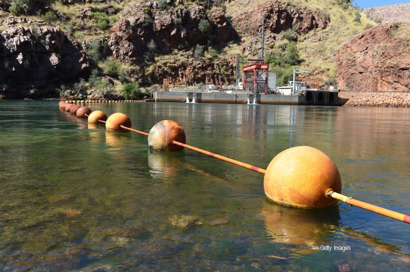 Aparitie surprinzatoare pe malul unui lac din Australia. Aceasta creatura bizara naste speculatii pe internet