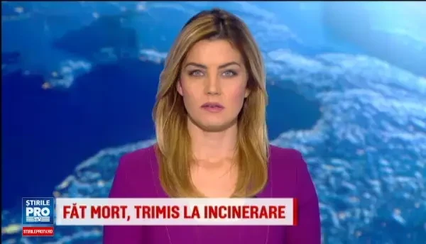 Fiul judecatoarei din Craiova, suspectat ca ar fi injunghiat un barbat, a fost retinut pentru 24 de ore