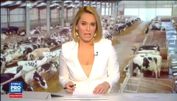 230 de oameni au infiintat Cooperativa Agricola moderna in Botosani. Unii s-au gandit la CAP. Este, dar e al nostru