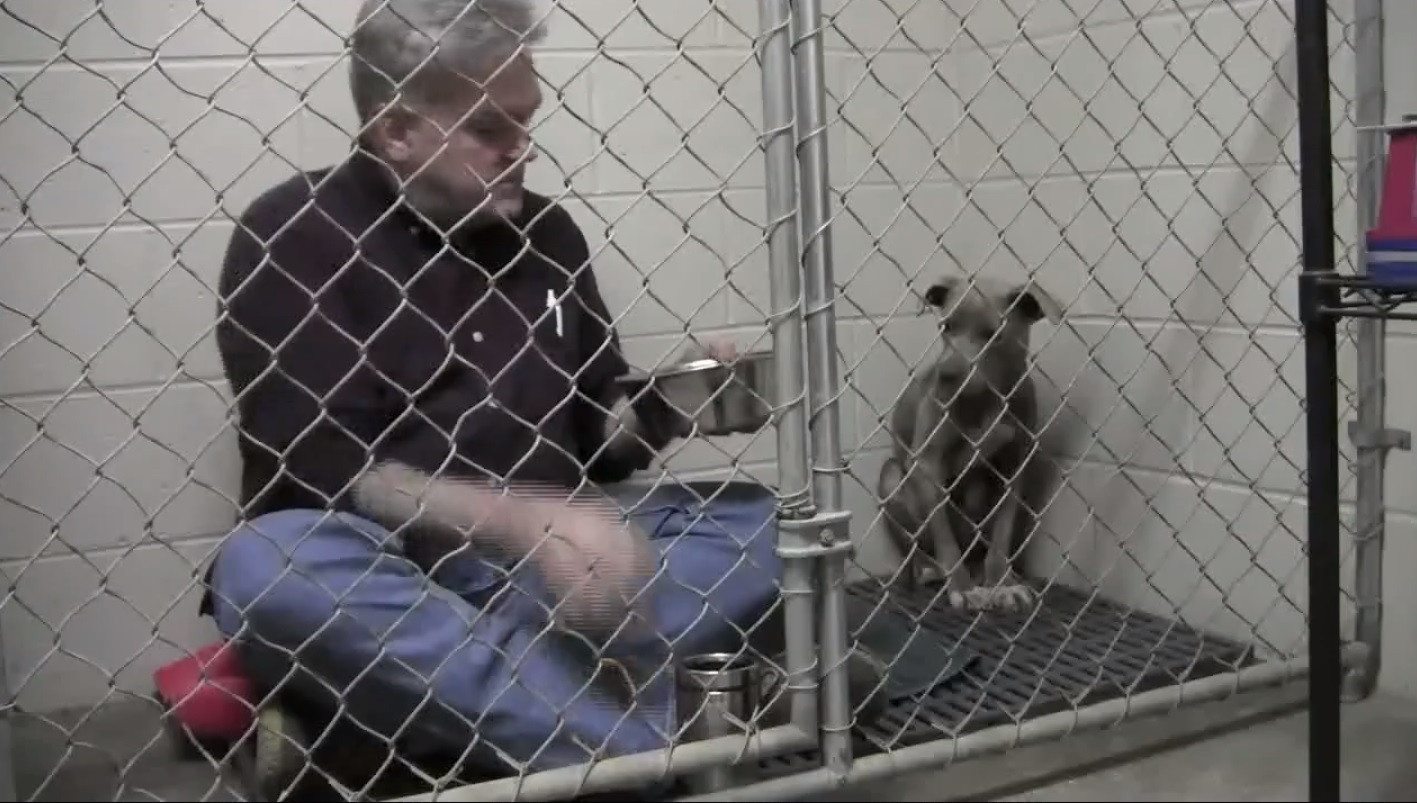 Un veterinar s-a inchis in cusca langa catelusa salvata de pe strada. Ce a urmat a impresionat 6 milioane de oameni